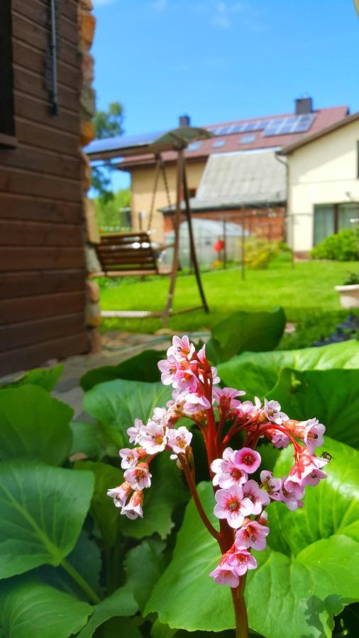 Vila Uosis Паланга Екстер'єр фото